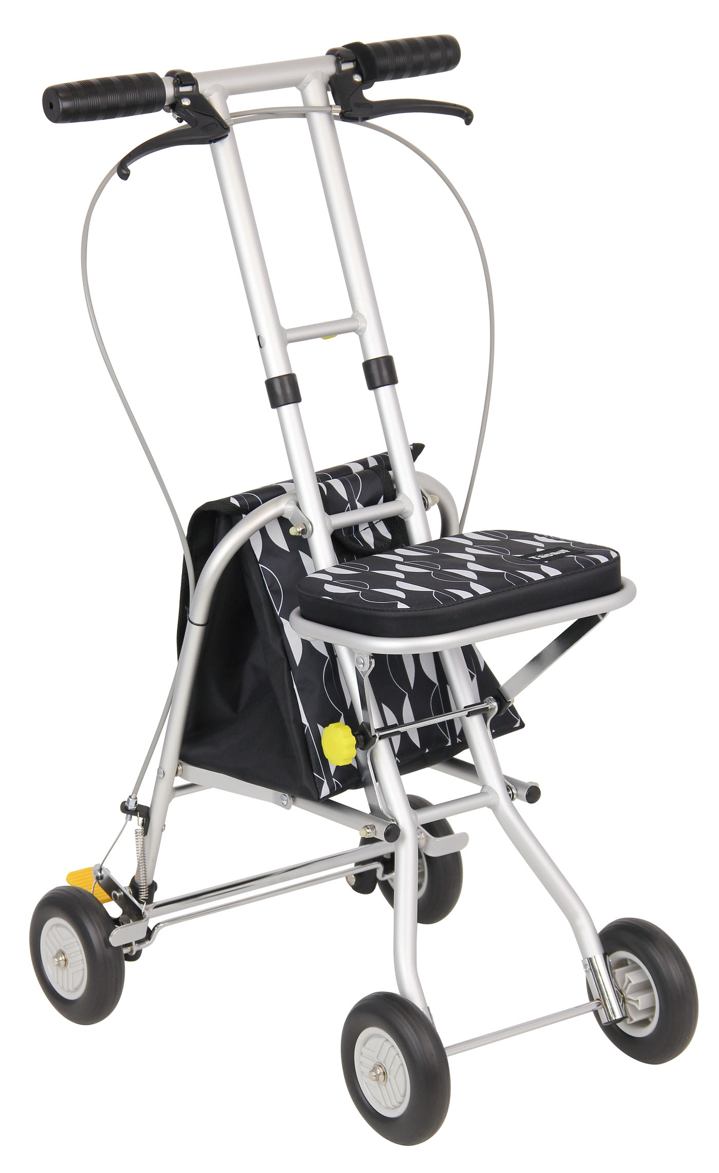 silvercar2.jpg (213 KB)