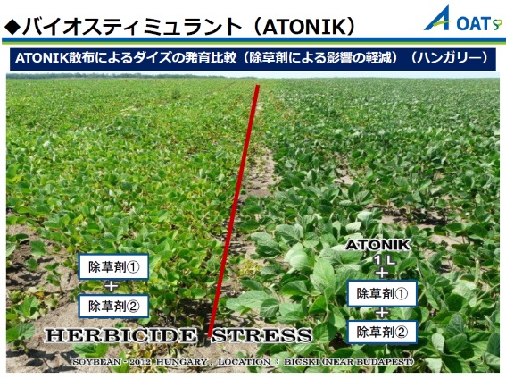 Biostimulant.jpg (156 KB)