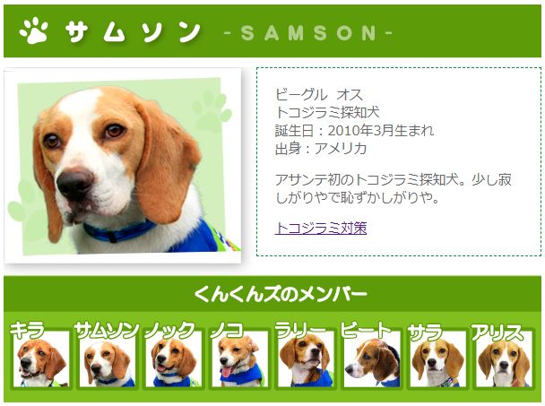 TeamKunkuns.JPG (60 KB)