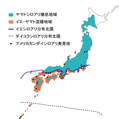 shiroarimap.jpg (36 KB)