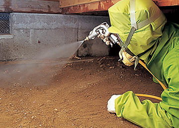 t05_ki_pic04.jpg (65 KB)